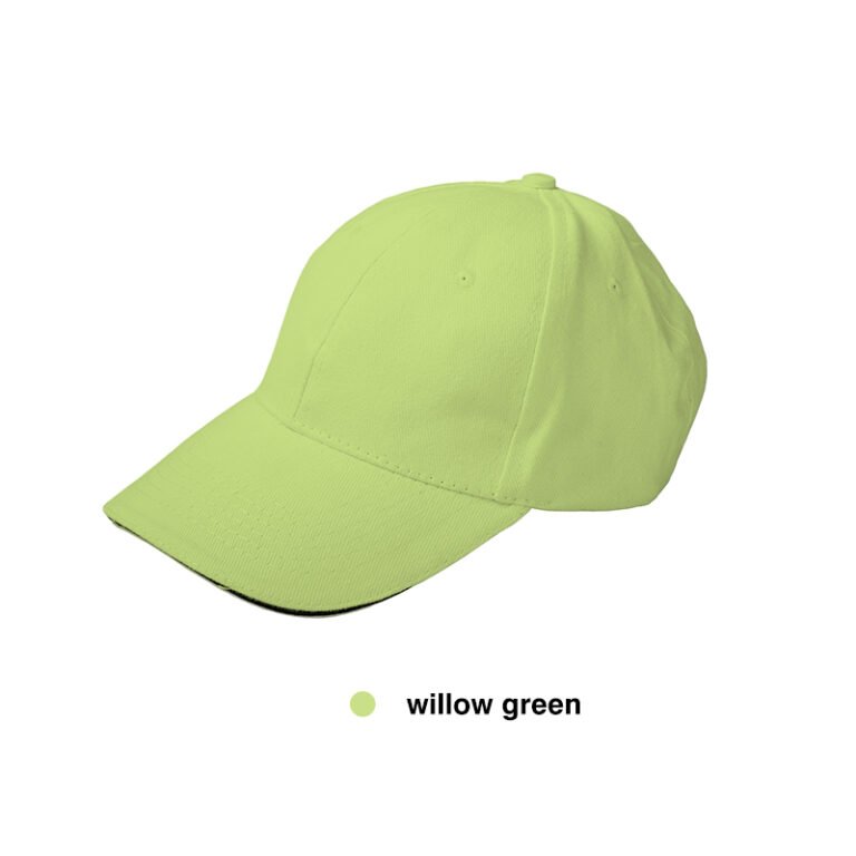 高尔夫球帽颜色24