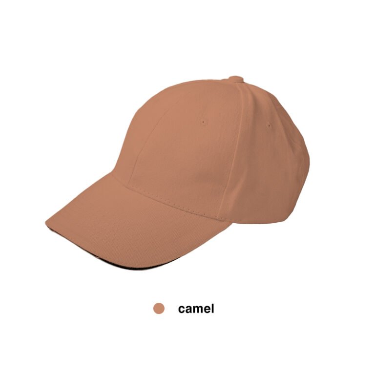 高尔夫球帽颜色4