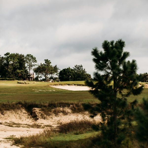 brandon-williams-z5K9H_vqQ4k-unsplash (1)